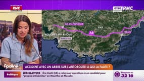 Accident avec un arbre sur l'autoroute : à qui la faute ?