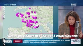 La chronique de Nina Godart : L'impossible carte des "coins" à champignons - 29/10
