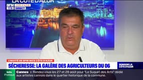 Sécheresse: jusqu'à 50% de pertes pour les agriculteurs des Alpes-Maritimes