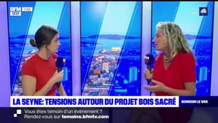La-Seyne-sur-Mer : la maire s'oppose à la "bétonisation" et la construction de 350 logements