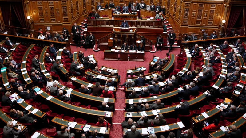 L'hémicycle du Sénat à Paris (photo d'illustration)