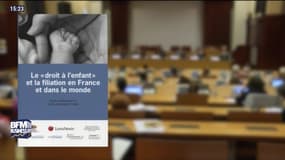 Le saviez-vous: chaque année en France, 24 000 enfants naissent grâce à une assistance médicale - 02/06