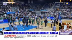Basket: les Sharks d'Antibes se sont inclinés face à Blois