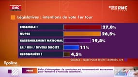 Élections législatives : une campagne discrète pour Marine Le Pen