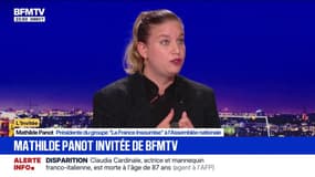 Conflit au Proche-Orient: Mathilde Panot, présidente du groupe LFI à l'Assemblée nationale, souligne "un génocide contre des enfants"