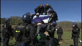 Sivens: les gendarmes évacuent les derniers zadistes