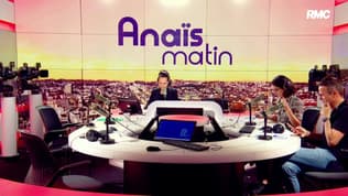 Hausse des abandons d'animaux: "C'est essentiellement dû à l'arrivée massive de chatons"