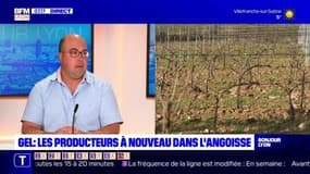 Froid: le président de la fédération des producteurs de fruits du Rhône craint "encore beaucoup de dégâts"