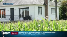 "Tout ce qu’on utilise sur les récoltes rentre dans ma cuisine",  la distance minimale entre les champs traités aux pesticides et les habitations bien accueillie par Marie-Simone