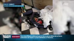 "Gilets jaunes": dix mois avec sursis pour le pompier soupçonné d'être un "black bloc"