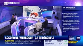Accord UE/Mercosur : ça se dégonfle - 14/11