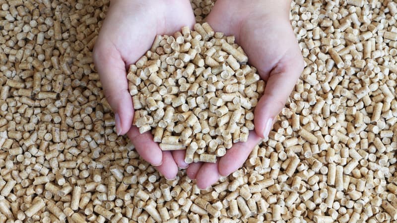 De 300 à 700 euros la tonne de pellets: comment les producteurs justifient la forte hausse de leurs prix