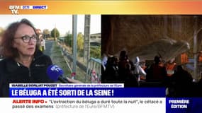 "Le béluga est vivant, mais terriblement maigre": la préfecture de l'Eure donne des nouvelles du cétacé égaré