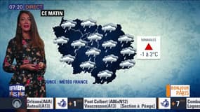 Météo Paris Île-de-France du 11 janvier: Ciel nuageux avec de faibles précipitations