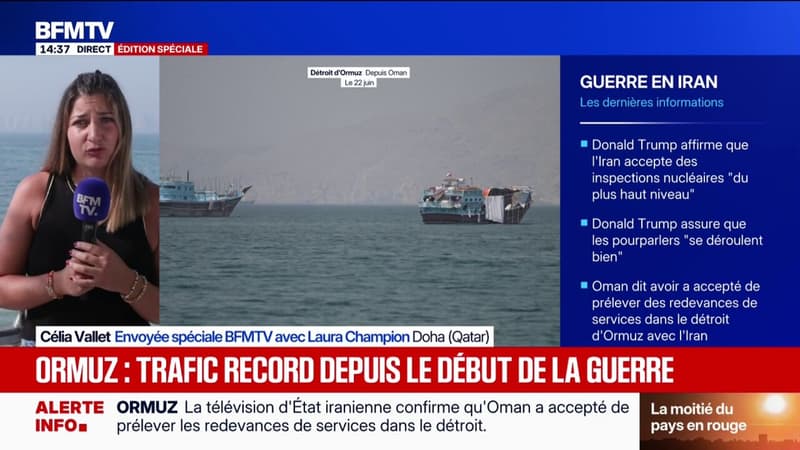 Guerre au Moyen-Orient: 36 navires ont franchi le détroit d'Ormuz lundi