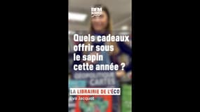 Quels cadeaux offrir sous le sapin cette année ? 🎄📔