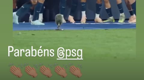 Le message de félicitations de Neymar pour le PSG, 31 mai 2025