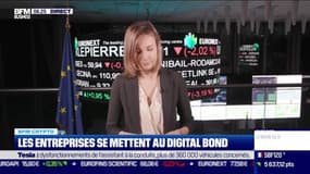 BFM Crypto : La hausse ne tient pas - 17/02