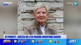 Disparition de Martine David, ancienne députée et maire de Saint-Priest