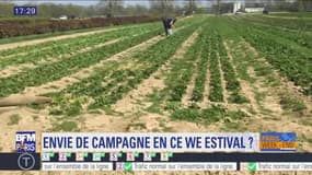 L'essentiel de l'actualité parisienne du samedi 1er juin 2019