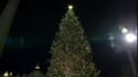 Le Vatican dévoile sa crèche et illumine son sapin de Noël