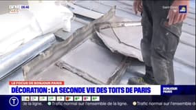 Une start-up offre une nouvelle vie aux toits de Paris