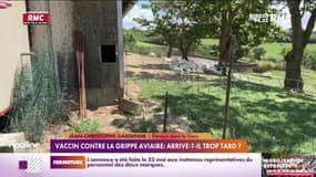 Vaccin contre la grippe aviaire : arrive-t-il trop tard ? 