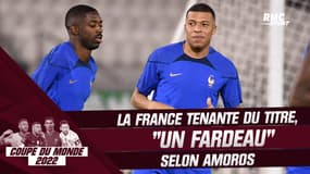 Coupe du monde 2022 : La France tenante du titre, "un fardeau" selon Amoros