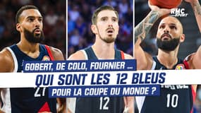 Basket / Coupe du monde : Gobert, De Colo, Fournier ... Qui sont les 12 joueurs de l'équipe de France ?