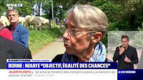 Élisabeth Borne sur la nomination de Pap Ndiaye à l'Éducation nationale: "L'objectif est de tenir l'excellence, assurer l'égalité des chances"