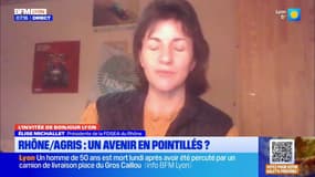 Agriculteurs dans le Rhône: un avenir en pointillés? 