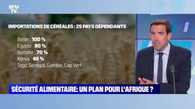 Sécurité alimentaire: un plan pour l'Afrique ? - 26/07