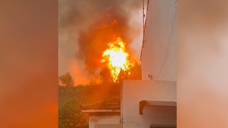 Un incendie s'est déclaré à Septèmes-les-Vallons (Bouches-du-Rhône) mardi 1er août.