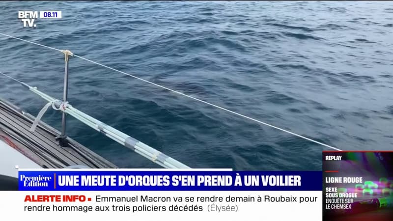 Le voilier du skipper Sébastien Destremau abîmé par des orques au large des côtes espagnoles