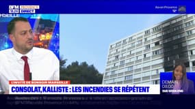 "Je me demande si je ne vais pas porter plainte contre le gouvernement pour inaction", annonce Sébastien Delogu après l'incendie au Parc Kalliste