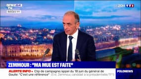 Éric Zemmour candidat: "Ma mue est faite"
