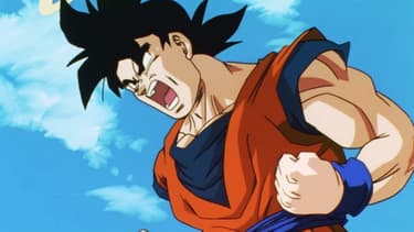 "Dragon Ball Z"
