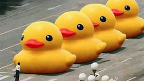 L’enfilade de canards est en fait un détournement de la célèbre photo de Jeff Widener, "L'homme de Tiananmen"