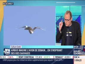 Culture Geek: Airbus imagine l'avion de demain... en s'inspirant des oies sauvages, par Anthony Morel - 21/11