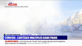 "Convoi de la liberté": les forces de l'ordre tentent de faire évacuer les Champs-Élysées