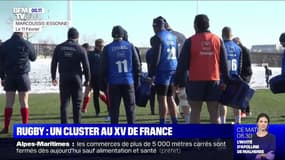 Rugby: un cluster de Covid-19 au XV de France