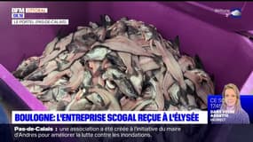Boulogne-sur-Mer: Copalis valorise les produits de la mer