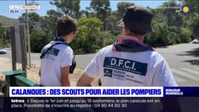 Calanques: des scouts pour aider les pompiers face au risque de feux de forêt