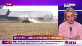 Loi Duplomb : "Le Conseil constitutionnel doit s'appuyer sur des avis scientifiques"