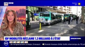 Ile-de-France Mobilités réclame 1,3 milliard d'euros à l'Etat