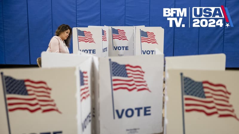 Une femme participe à la primaire démocrate en vue de l'élection présidentielle, lors du "Super Tuesday", le 3 mars 2020 à Herndon (Virginie, États-Unis).