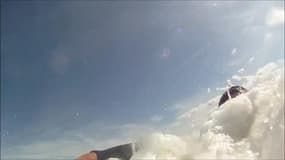Un phoque joue avec un surfeur à Montalivet - Témoins BFMTV