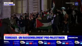 Lyon: un rassemblement pro-palestinien organisé mercredi soir