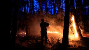 Un pompier s'attaque à un incendie de forêt près de Vidauban, dans le sud de la France, le 11 juin 2024