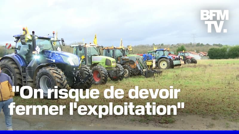 Crise agricole: de nouvelles mobilisations d'agriculteurs près de Paris et de Lyon